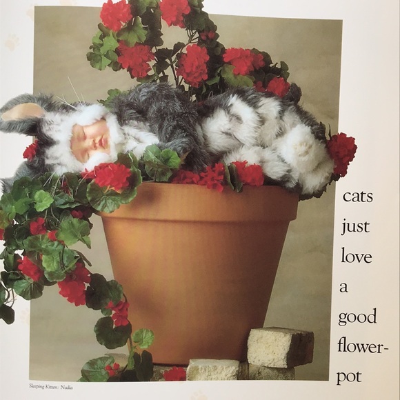 Anne Geddes Down in the Garden hardcover - Picture 9 of 9